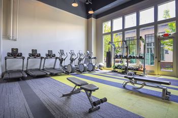 A gym with a variety of equipment including treadmills, weights, and exercise balls.